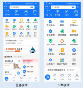 App 长辈模式密集上线，互联网平台适老化为何如此迫切