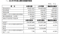 苏宁易购：上半年净亏损 31.9 亿元，同比扩大 1814.95%